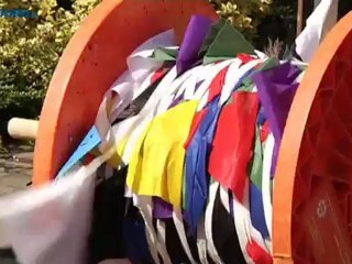 Sauwerd wil Ranomi een onvergetelijke dag bezorgen - RTV Noord