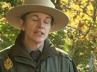 US dam removed to check salmon decline