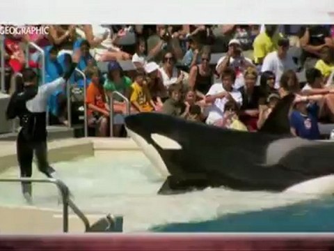 Изумителни истории с National Geographic BG