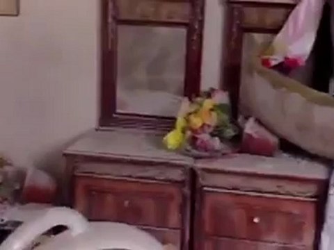 فري برس درعا طفس تدمير وتخريب عصابات البطة لطفس 16-8-2012