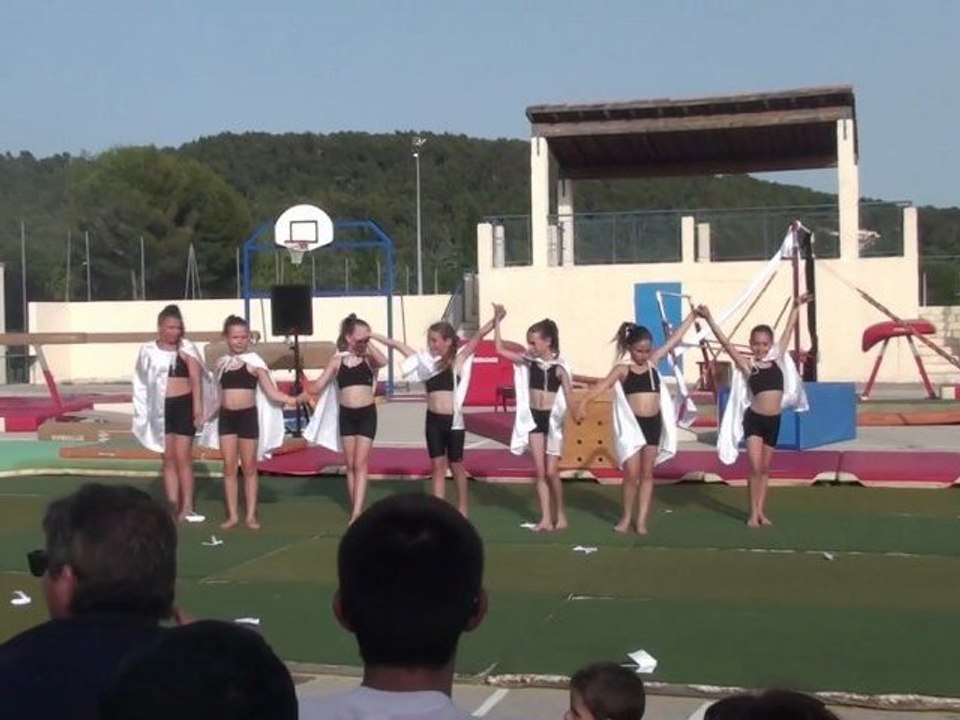 Gala de fin de saison_La Magie des Colombes