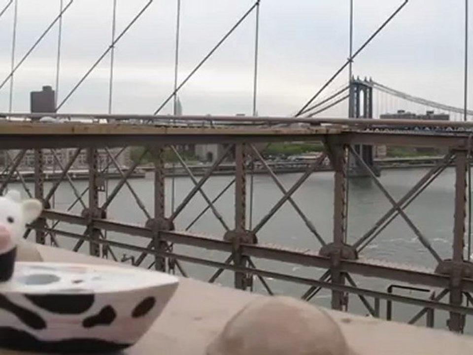 On y danse, on y chante..