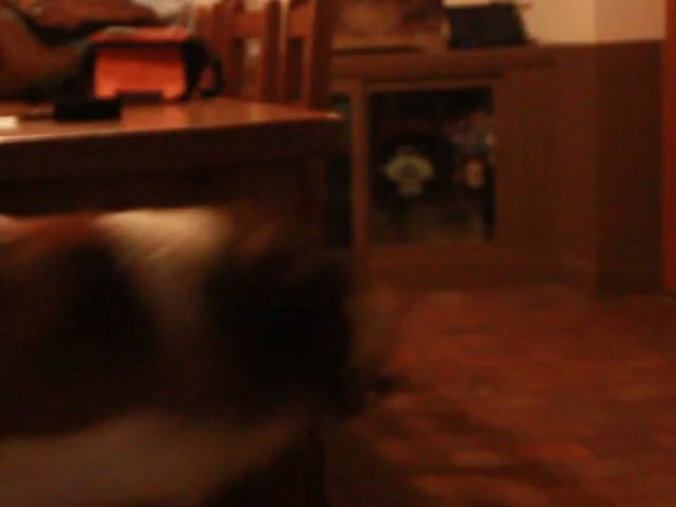 Partie de jeu