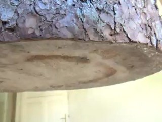 Florian Neufeldt at Kunstresidenz Bad Gastein 2012