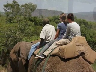 Experience The African Safari Travel