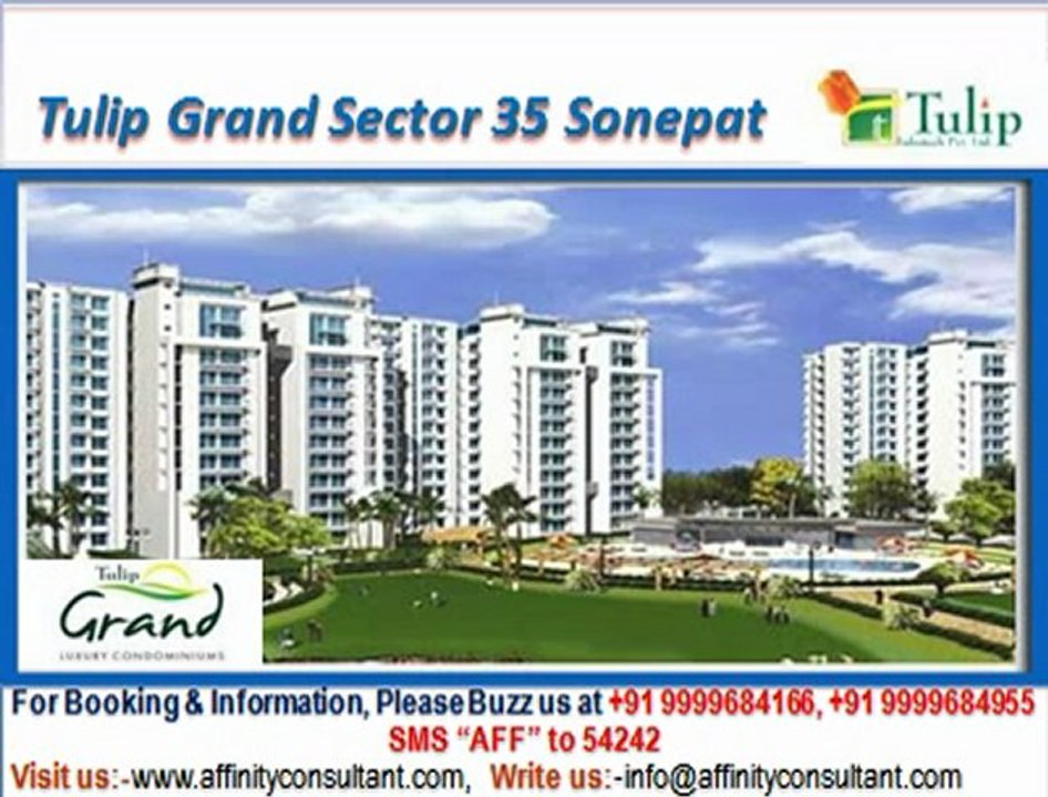 Tulip Grand apartments Sector 35 Sonepat @ 09999684166