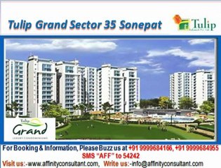 Tulip Grand apartments Sector 35 Sonepat @ 09999684166