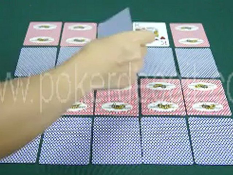 Marked cards:Bee with picture_0