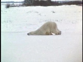 going to work monday