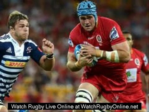 watch Argentina vs South Africa August 18th Rugby live online
