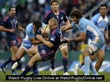 watch Argentina vs South Africa August 18th live online