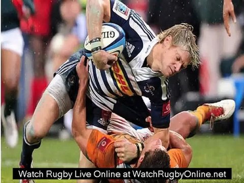 watch Argentina vs South Africa August 18th Rugby live online