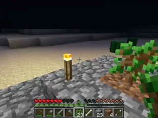 Let's Play Minecraft - Episode 2 : Une ferme à bois !