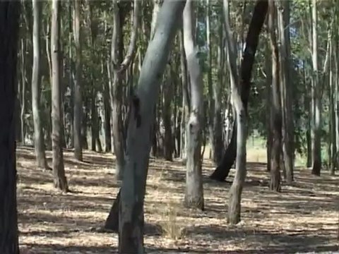 SICILIA TV FAVARA - Gara di pesca, alla diga San Giovanni di Naro