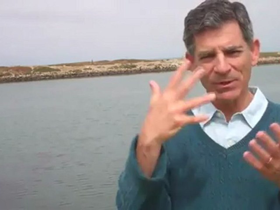 Step Success Coaching System for Making Your Dreams Come True