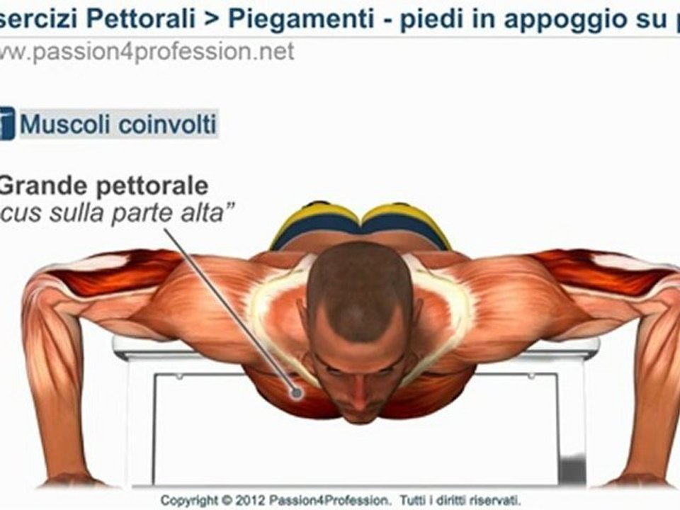 Piegamenti - piedi in appoggio su panca