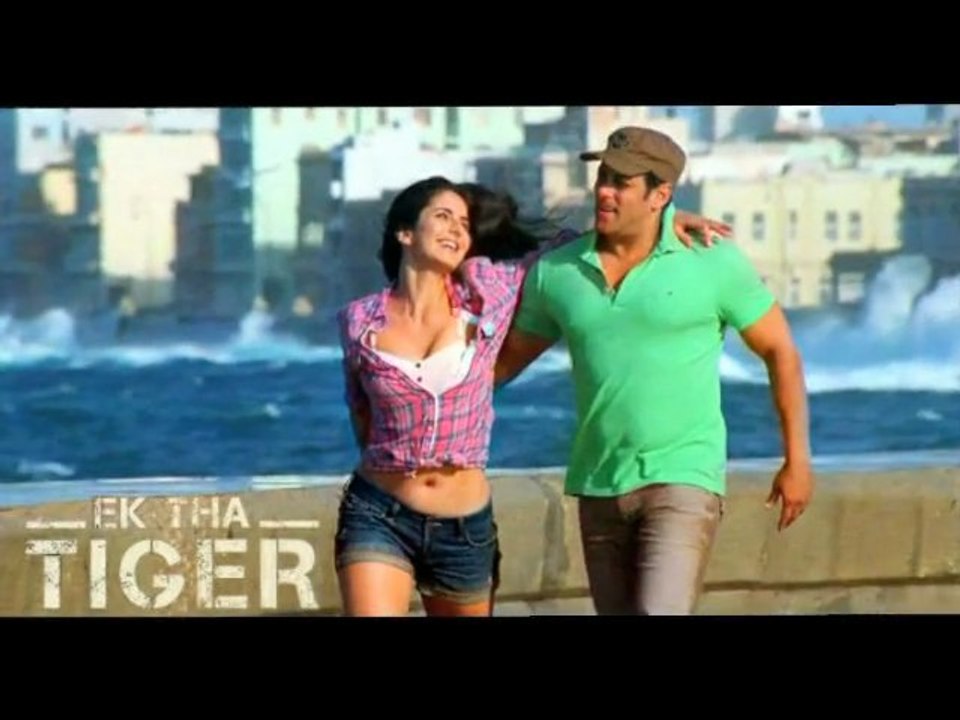 Salman Khan's Ek Tha Tiger Banned In Pakistan - Bollywood News