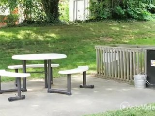 Cedar Point Apartments in Roanoke, VA - ForRent.com