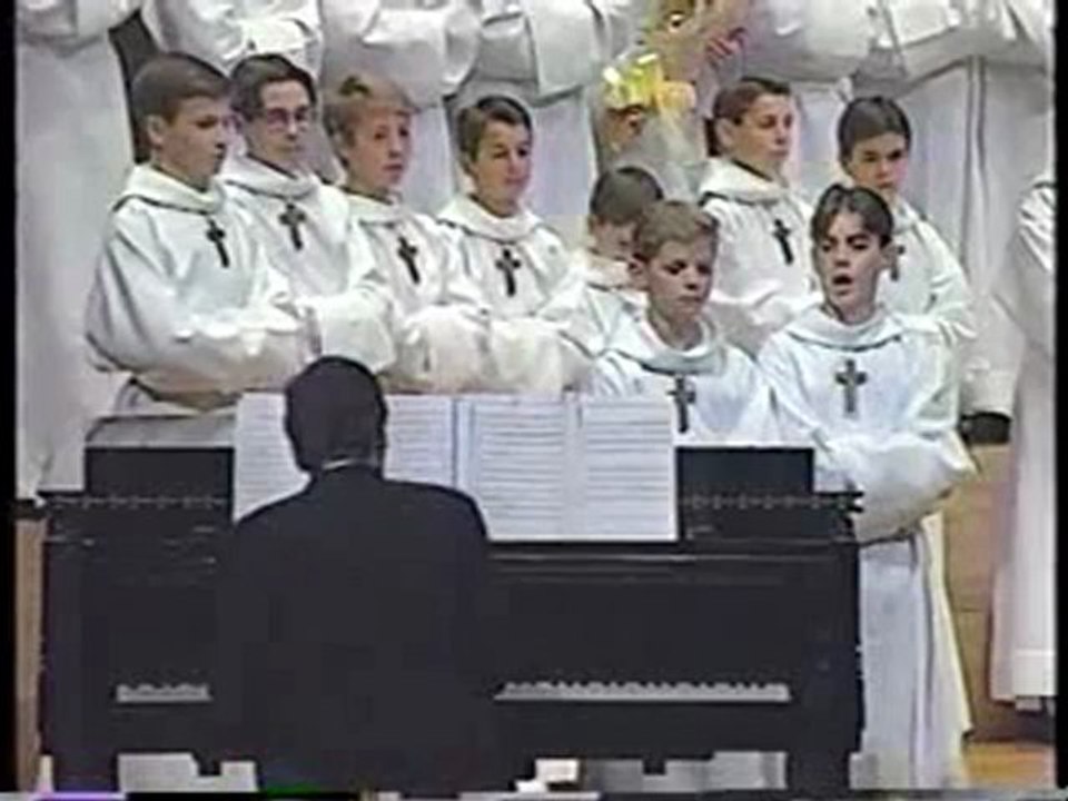 PCCB - Le duo des chats