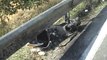 SICILIA TV (Favara) Incidente stradale mortale sulla statale 410 Canicatti Naro