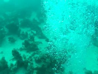 tortue ucpa hurghada