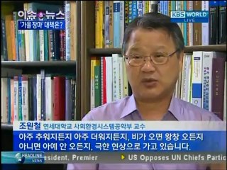 KBS News 9, August 17, 2012