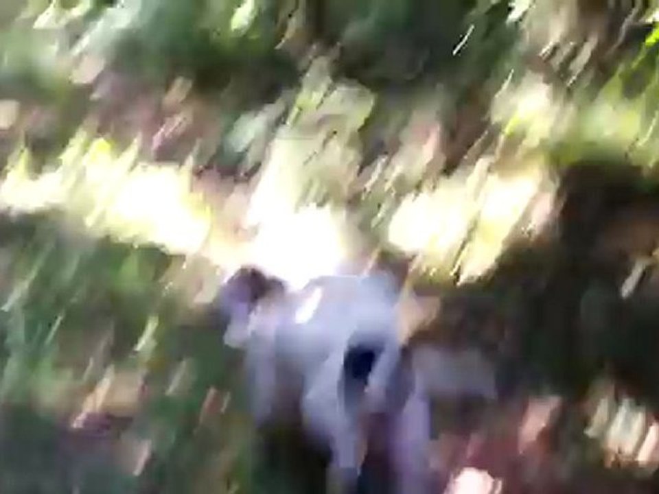 gamin et gitan sur un pied à 10 h (2)