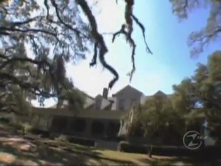 TAPS  11> LA PLANTATION MYRTLES