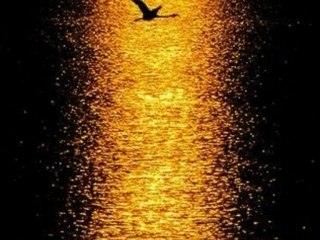 Bendeniz - Ay Işığı Şarkı