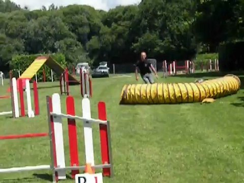 Danaé en concours d'agility