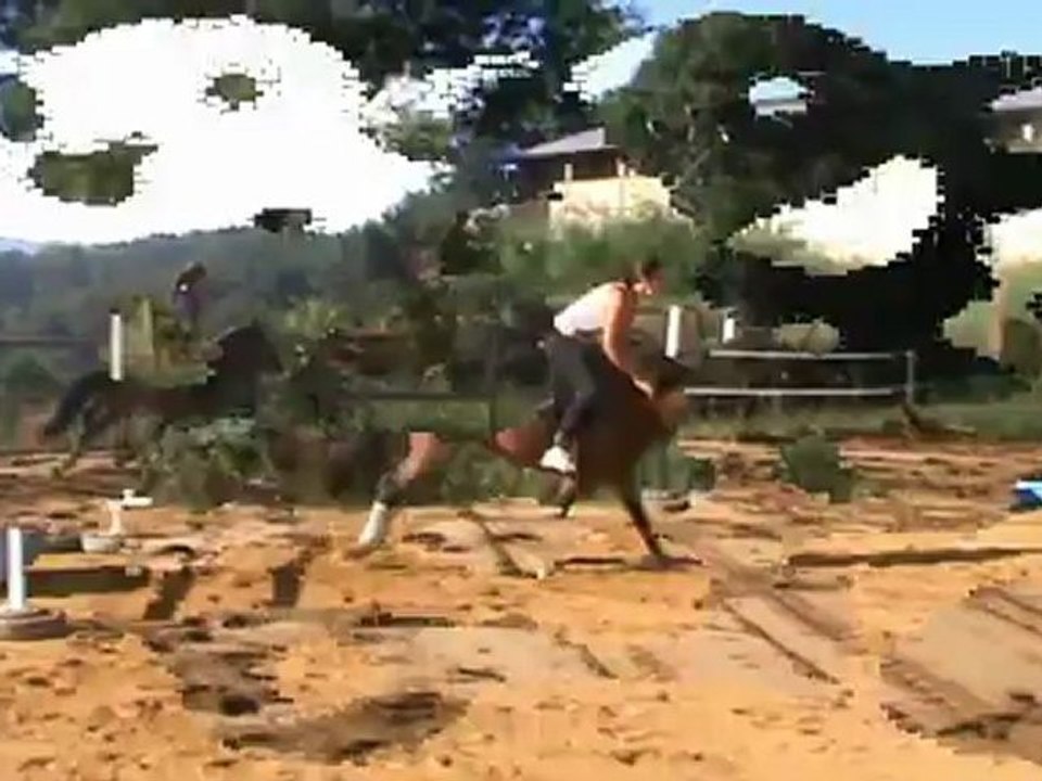 viva d'aspe