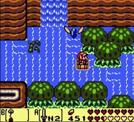 Zelda : Link's Awakening DX [14] A la poursuite des bojets perdus