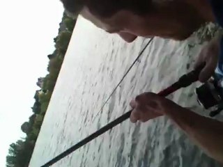 gros combat carpe commune 9k7 changé