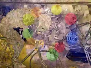 LE TOUR 2013 by Laurent Melon dossard 38