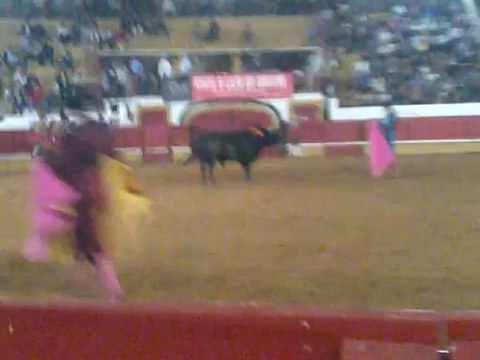 RUI PEDRO AMADORES DA CHAMUSCA PEGA TOIRO RODOLFO ANDRÉ PROENÇA TOMAR 2012