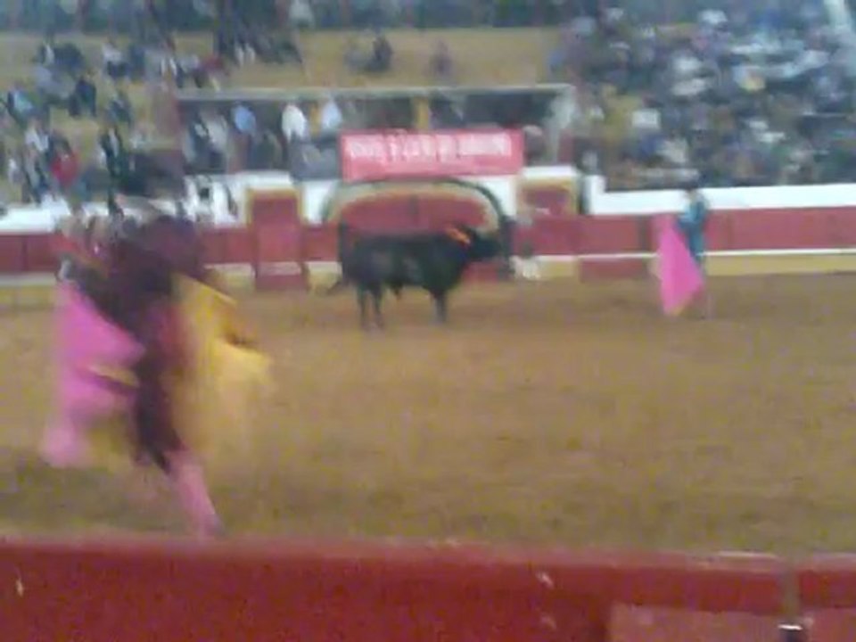 RUI PEDRO AMADORES DA CHAMUSCA PEGA TOIRO RODOLFO ANDRÉ PROENÇA TOMAR 2012