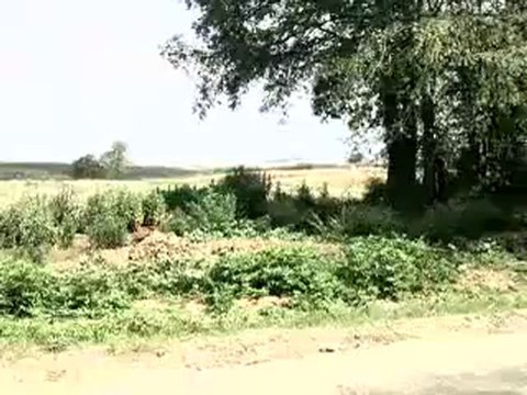 HAZER EMLAK TEL 0546 851 6657 ADAPAZARI SATILIK SANAYİ İMARLI ARSA