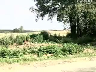 HAZER EMLAK TEL 0546 851 6657  SÖGÜTLÜ SATILIK SANAYİ İMARLI ARSA