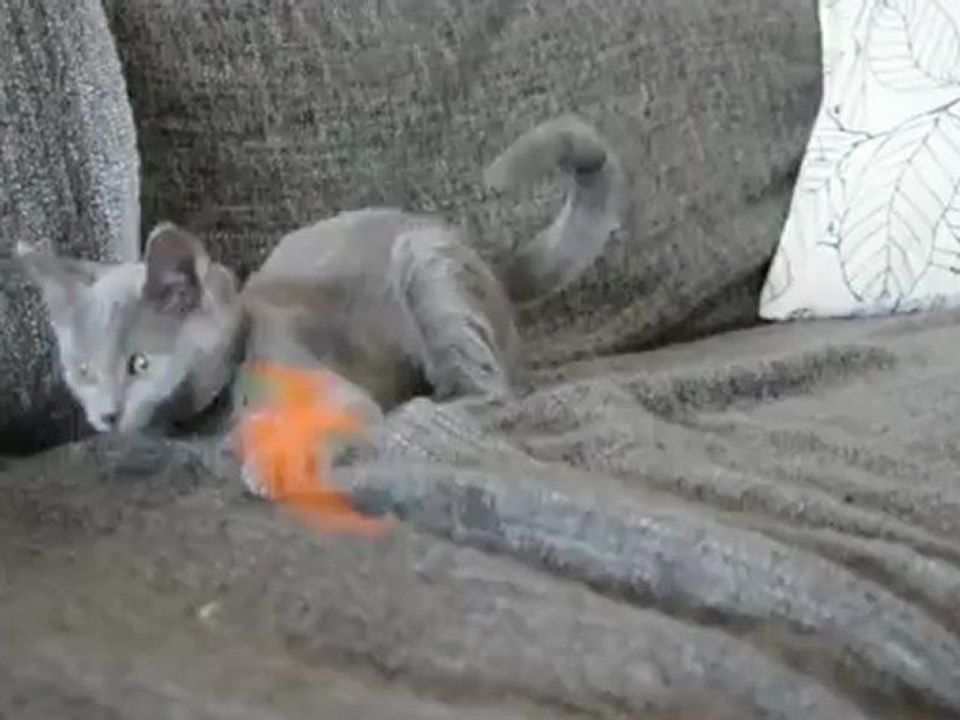 Hanoï des Rives d'Estaing