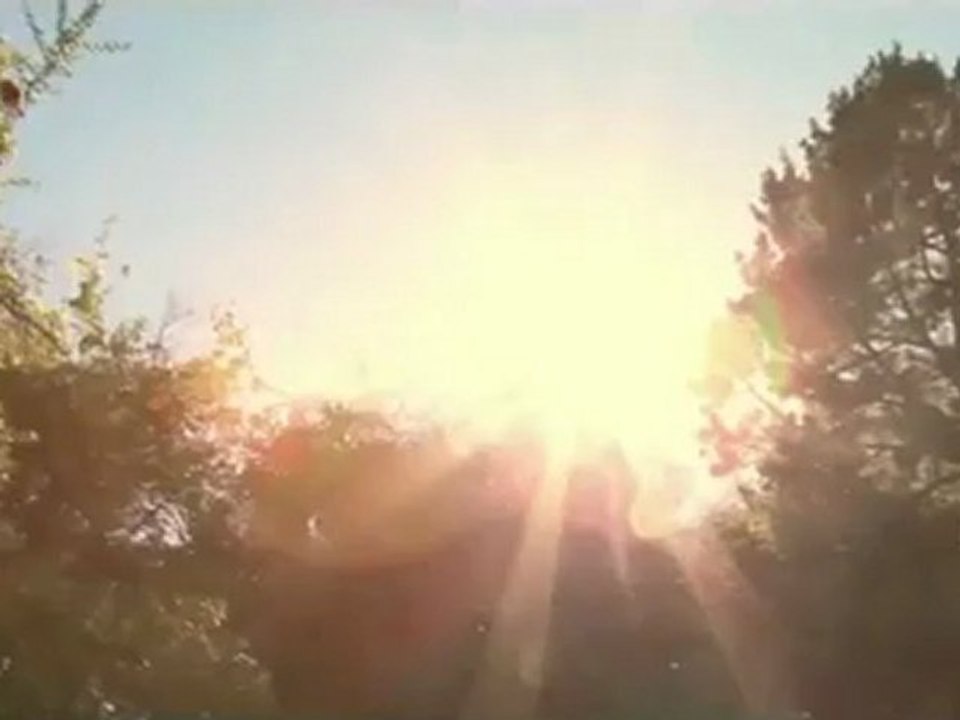 Superbus  - All alone