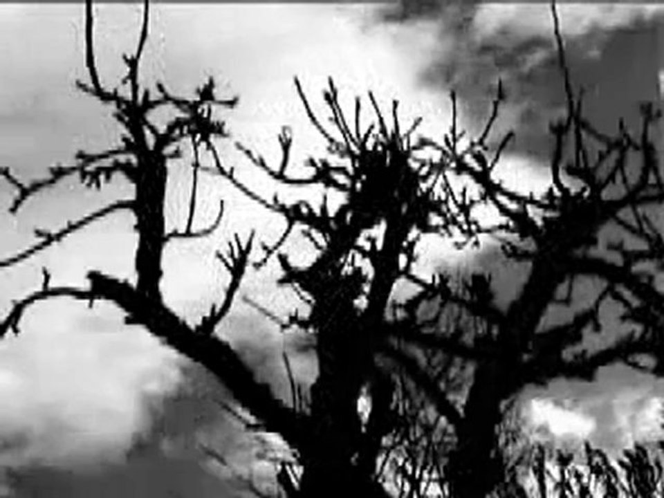 Aslı Güngör - Aşk Her Şeye Değer