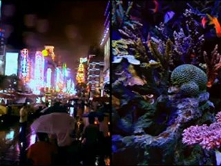 We are all connected