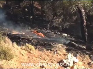 ΦΩΤΙΑ ΝΕΑ ΜΟΝΗ 2