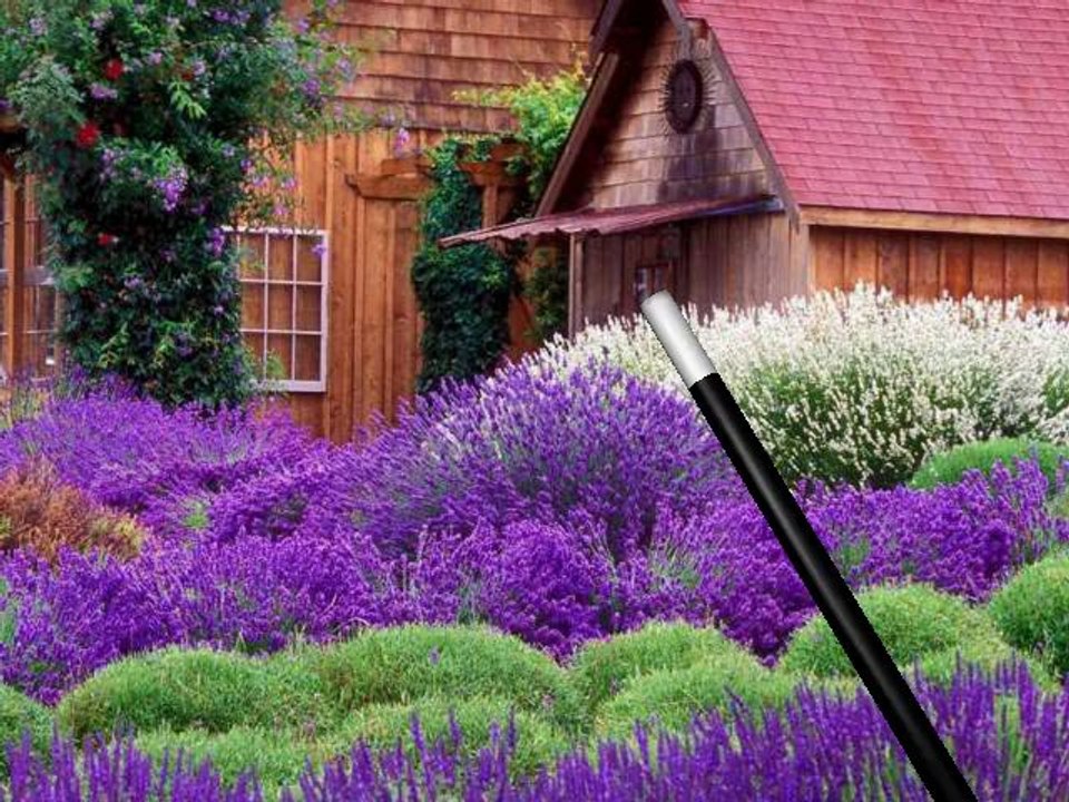 Collection de belles images