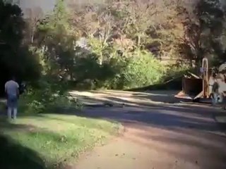 Tree Cutting & Pruning Services in Nashville, TN