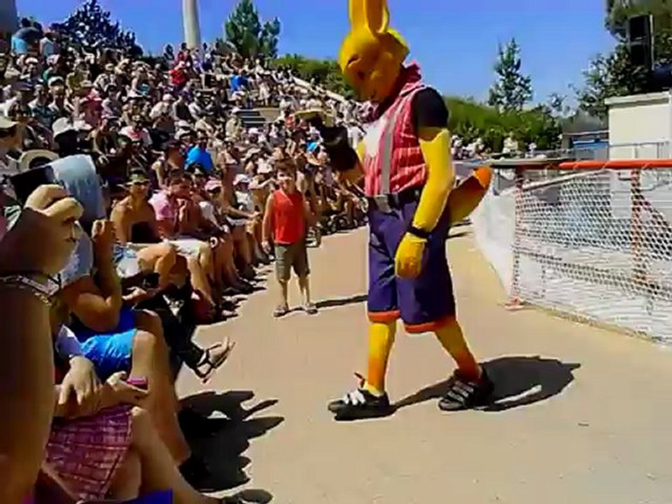 Walibi otarie show a walibi sud ouest 2012