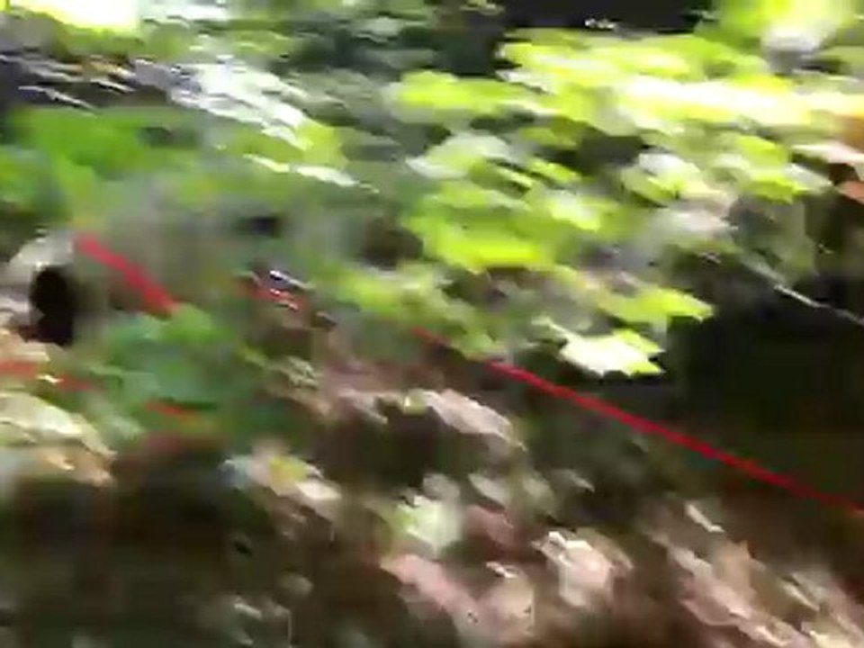 Garou,Gringo,Gipsie sur un pied(3)