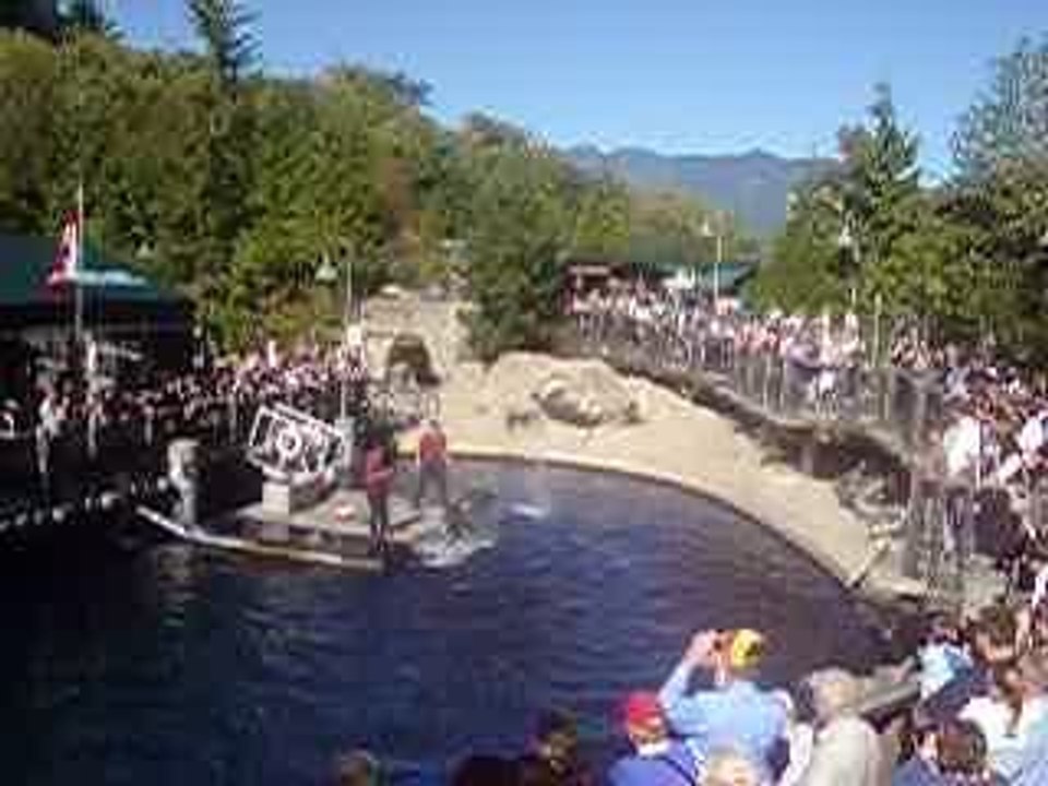 23-09 Aquarium Cam spect Dauphins