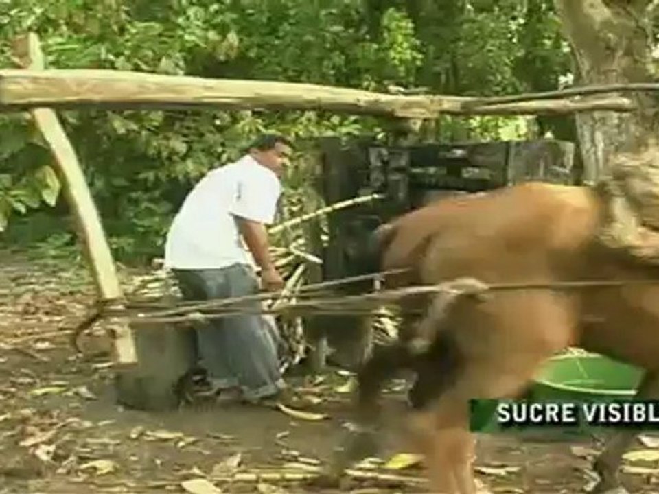 Marzo 7 de 2012 Sucre Visible dede Sucre Sucre