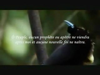 Le Dernier Sermon Du Prophète ( Magnifique !)